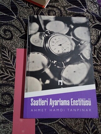 Edebî roman