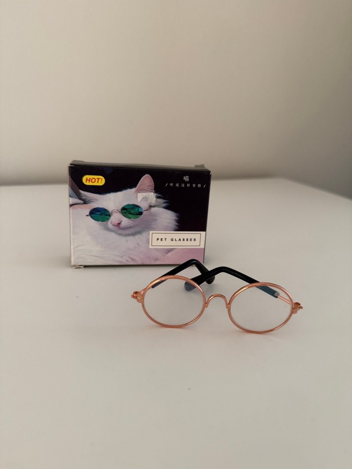 Gözlük kedi - Görsel 2