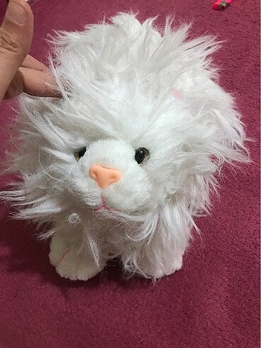 Oyuncak kedi