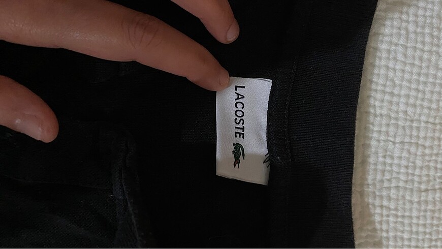 Lacoste tşhrt - Görsel 2