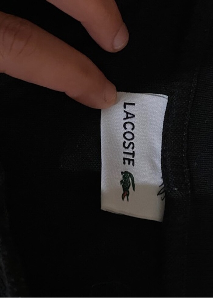 Lacoste tşhrt - Görsel 2
