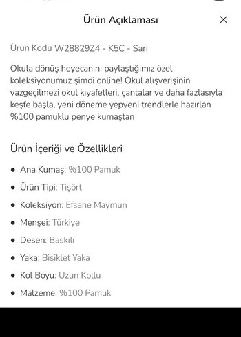 Sarı Uzun Kollu Nostaljik Maymun Baskılı Kız Tişörtü - Görsel 9