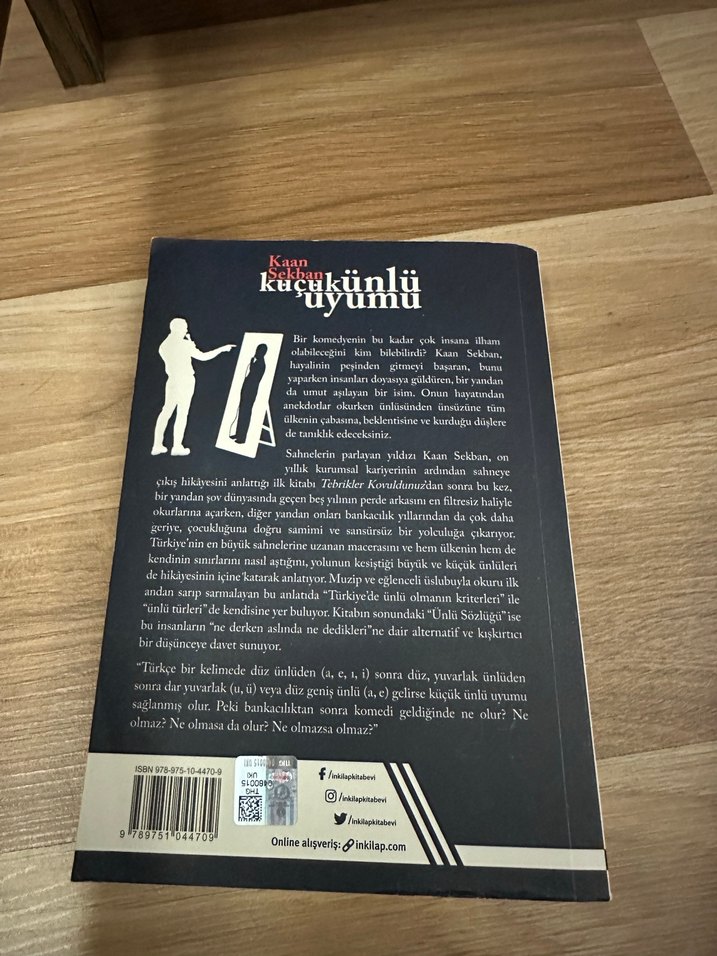 Küçükünlü Uyumu - Kaan Sekban - Görsel 2