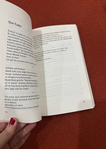 Malumatfurus - Ayşegül Aldinç - Görsel 2