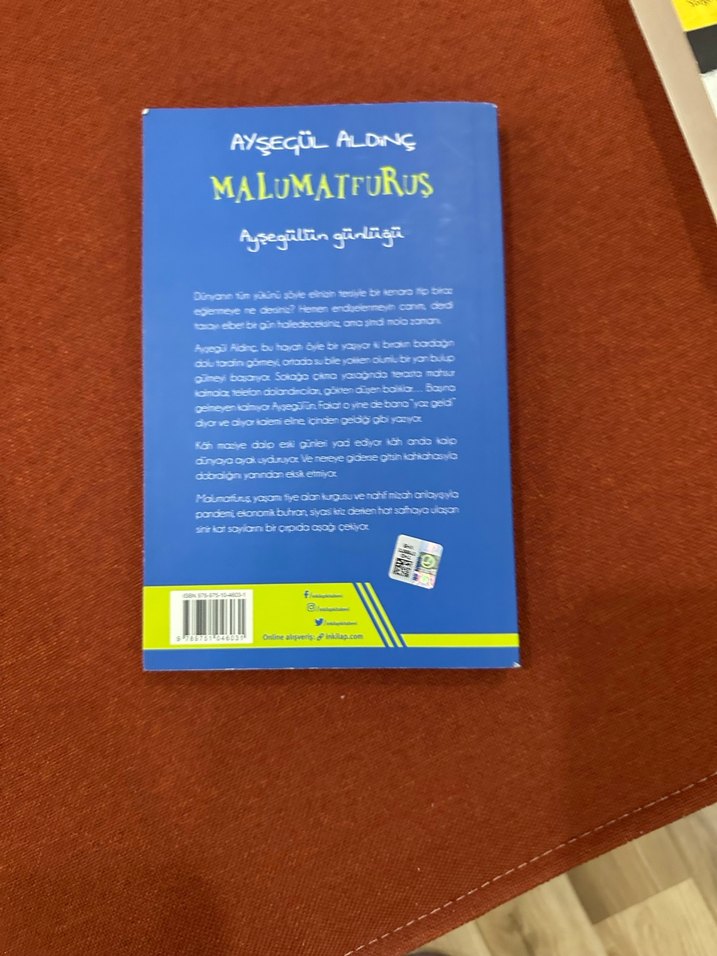 Malumatfurus - Ayşegül Aldinç - Görsel 3