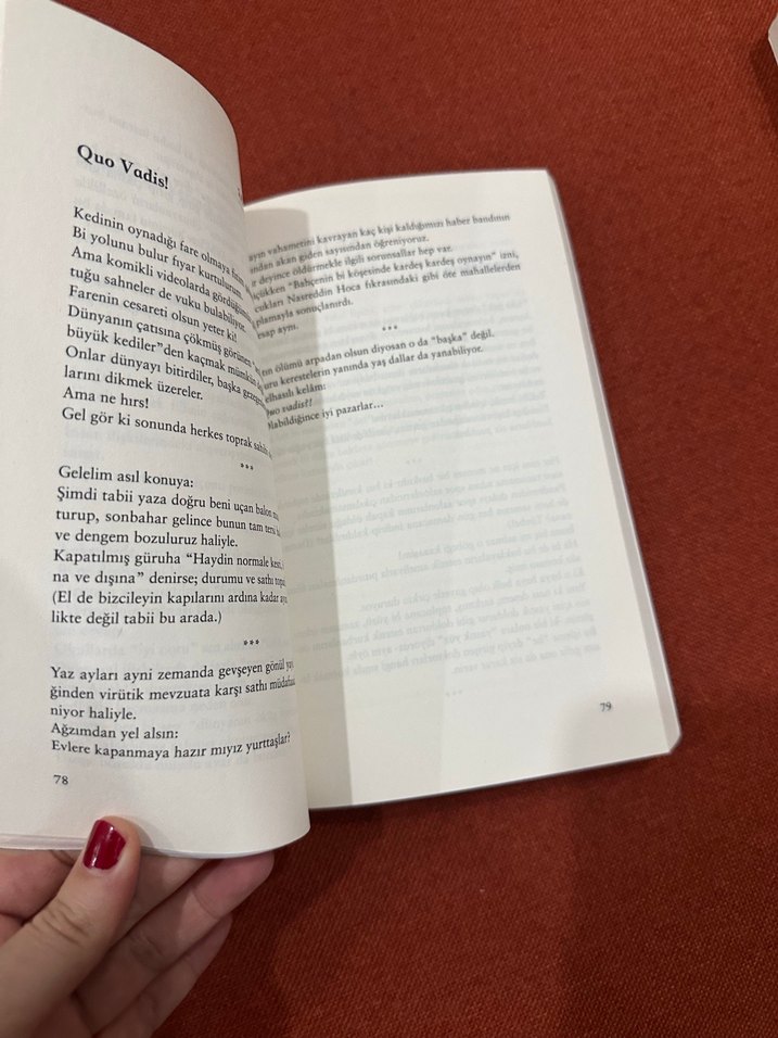 Malumatfurus - Ayşegül Aldinç - Görsel 2