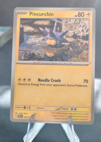 Pokémon Kartı-6