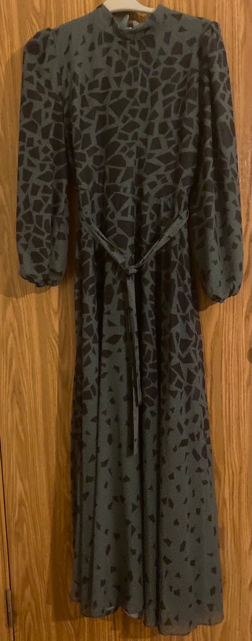 Kadın yeşil siyah Yılan Desenli Uzun Elbise - Görsel 2