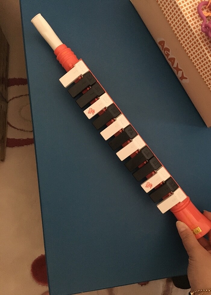 Melodika - Görsel 2