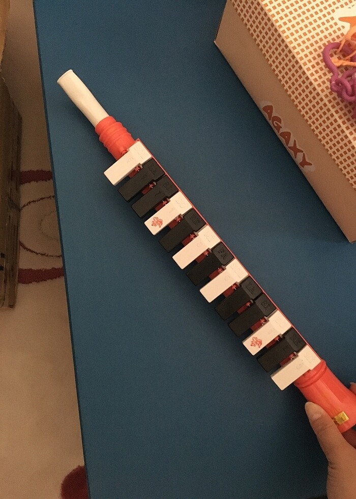 Melodika - Görsel 3