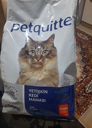 Yetişkin kedi mamasi