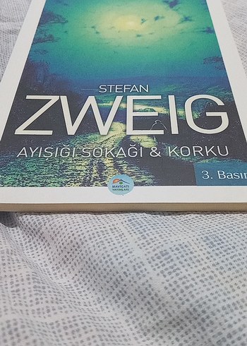 Stefan Zweig - Ayışığı Sokağı & Korku - Görsel 2