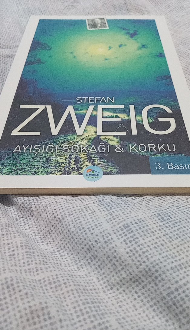 Stefan Zweig - Ayışığı Sokağı & Korku - Görsel 2