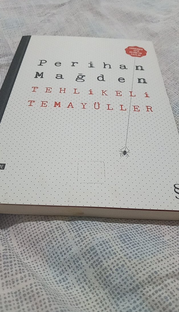 Tehlikeli Temayüller - Perihan Magden - Görsel 2