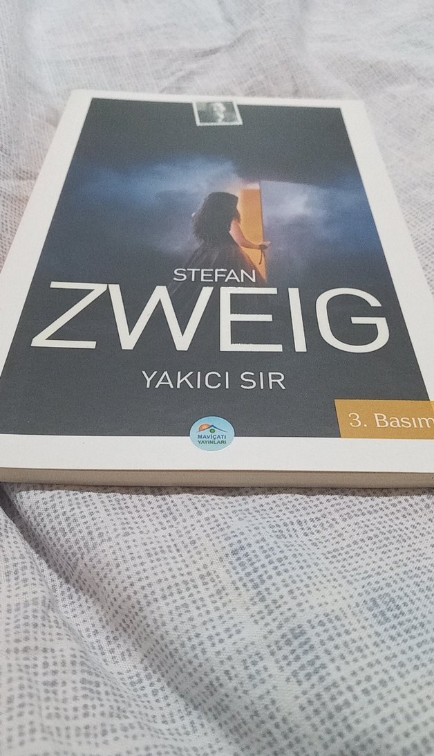 Stefan Zweig - Yakıcı Sır Romanı - Görsel 2