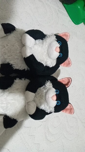 Twigy Ev panduf