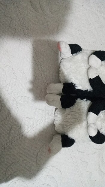 Beden Renk Ev panduf
