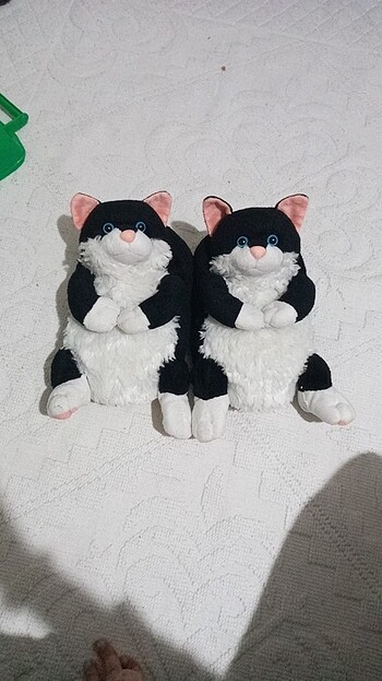 Ev panduf