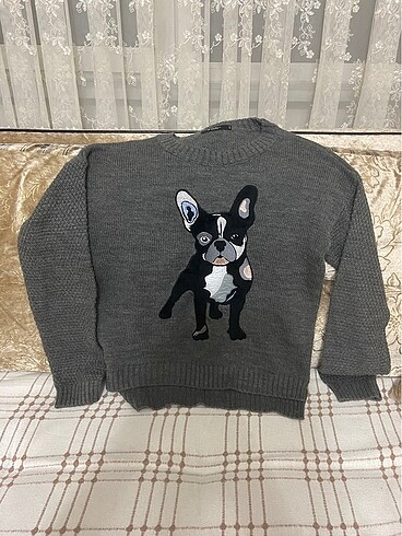 Colins s beden köpekli kazak