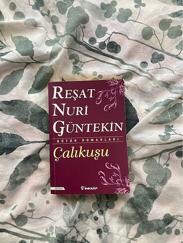 Çalıkuşu Romanı