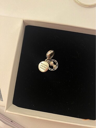 Pandora Pandora charm