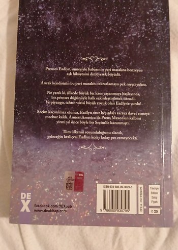 Prenses Eadlyn'in Peri Masalı - Roman - Görsel 2