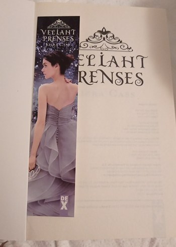 Prenses Eadlyn'in Peri Masalı - Roman - Görsel 3