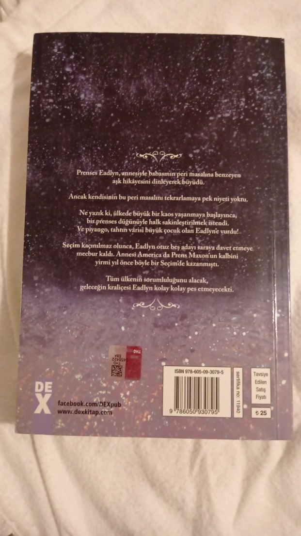 Prenses Eadlyn'in Peri Masalı - Roman - Görsel 2