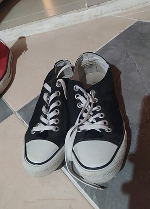 U.S Polo Assn. Kadın converse