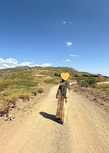 Tesettür Elbise - Görsel 2