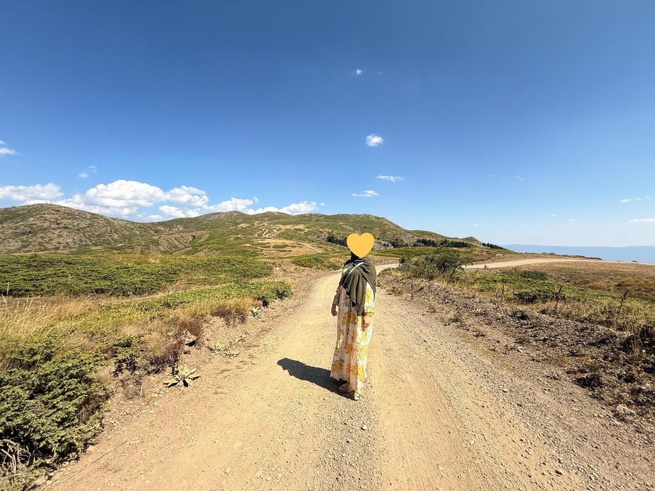 Tesettür Elbise - Görsel 2