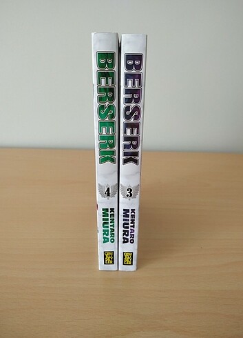 Berserk 3-4 gerekli şeyler 