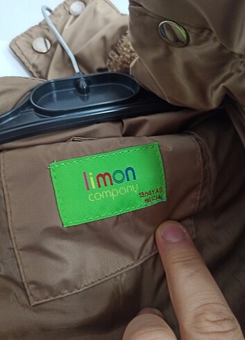 Limon şişme mont 