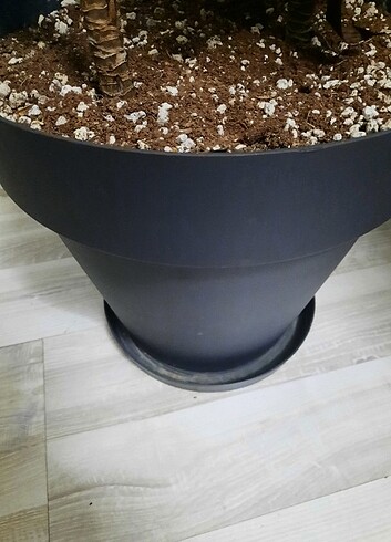 Serinova 10lt saksı 6 adet 
