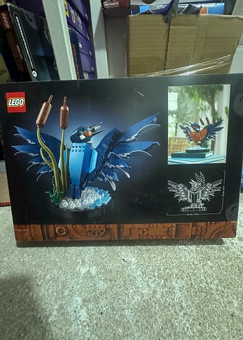 Mega LEGO Icons Kingfisher 834 Parça Set