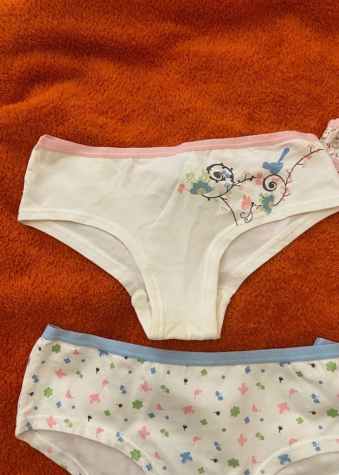 Zara 4 lü külot - Görsel 4