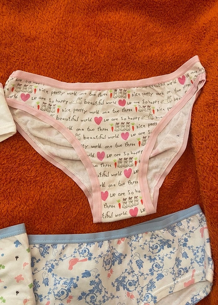 Zara 4 lü külot - Görsel 5