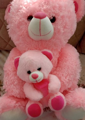 Pembe Peluş Ayıcık Seti