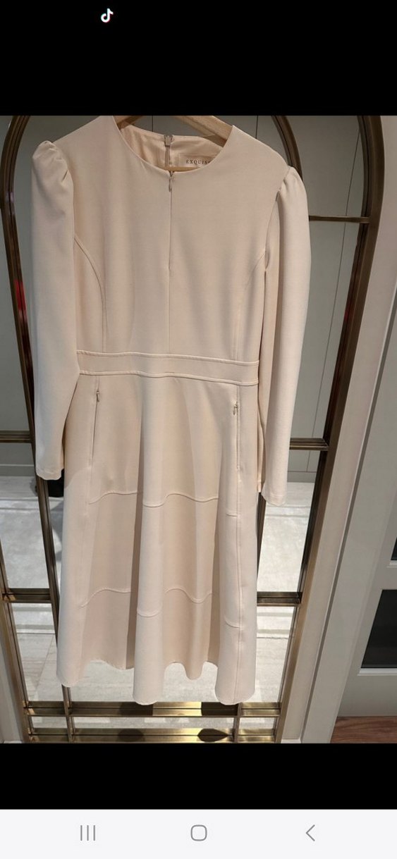 exquise Uzun Kollu Prenses Elbise - Görsel 5