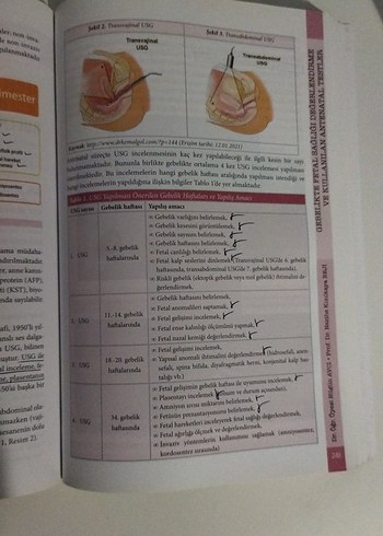  Beden Renk Normal Gebelik ve Bakım Kitabı