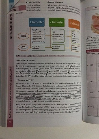  Beden Normal Gebelik ve Bakım Kitabı