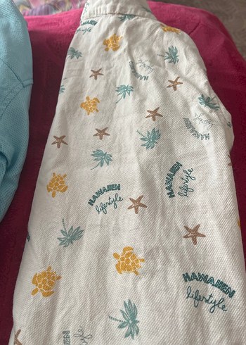 Erkek Çocuk civil gömlek 2 adet - Görsel 4