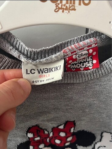 4 Yaş Beden Lc Waikiki kazak