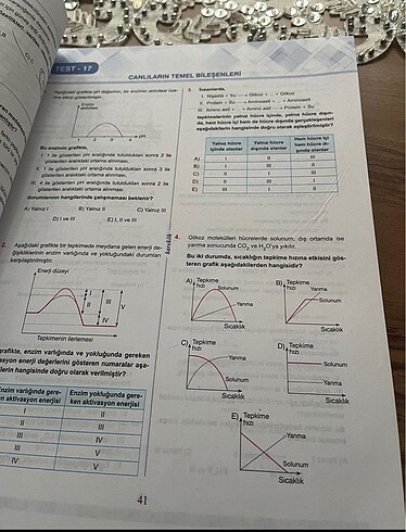 Karekök biyoloji - Görsel 4