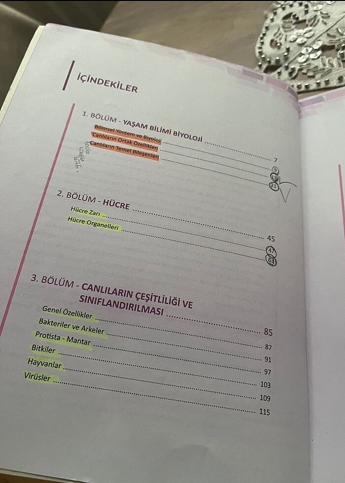 Karekök biyoloji - Görsel 2