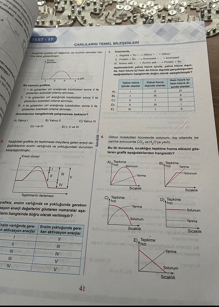 Karekök biyoloji - Görsel 4