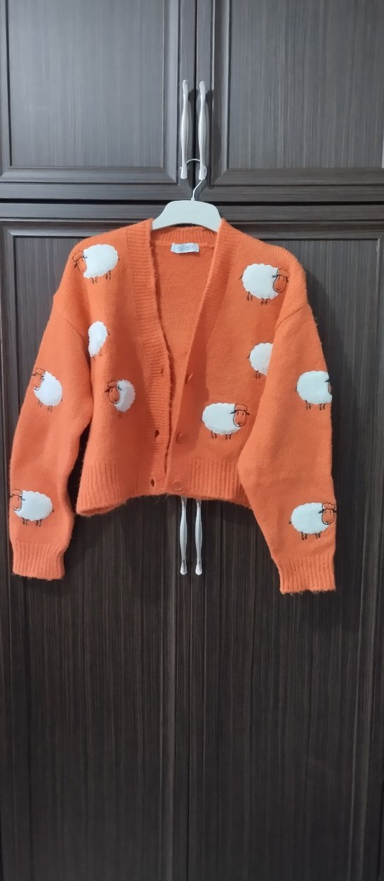 Baskılı Kısa Kadın Triko Hırka - Görsel 3