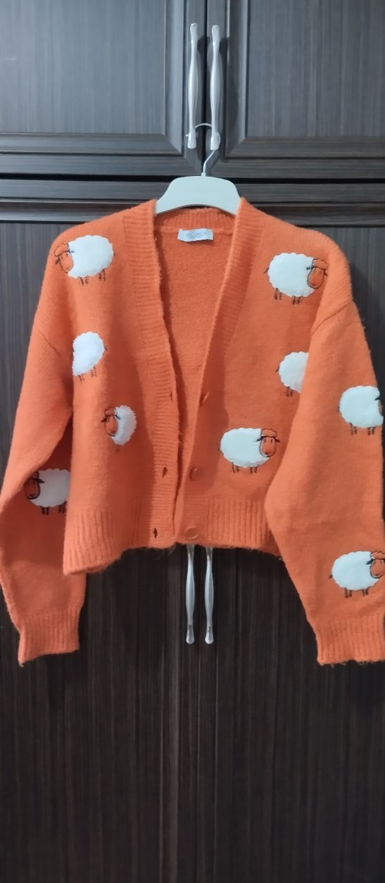 Baskılı Kısa Kadın Triko Hırka - Görsel 2