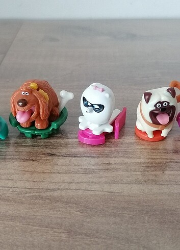 Evcil Hayvanların Gizli Yaşamı - Görsel 7