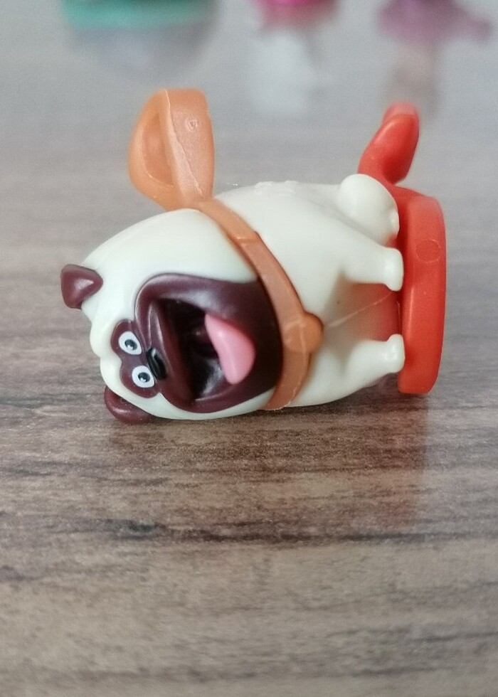 Evcil Hayvanların Gizli Yaşamı - Görsel 2